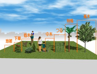 植栽情報